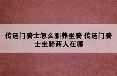 传送门骑士怎么驯养坐骑 传送门骑士坐骑商人在哪